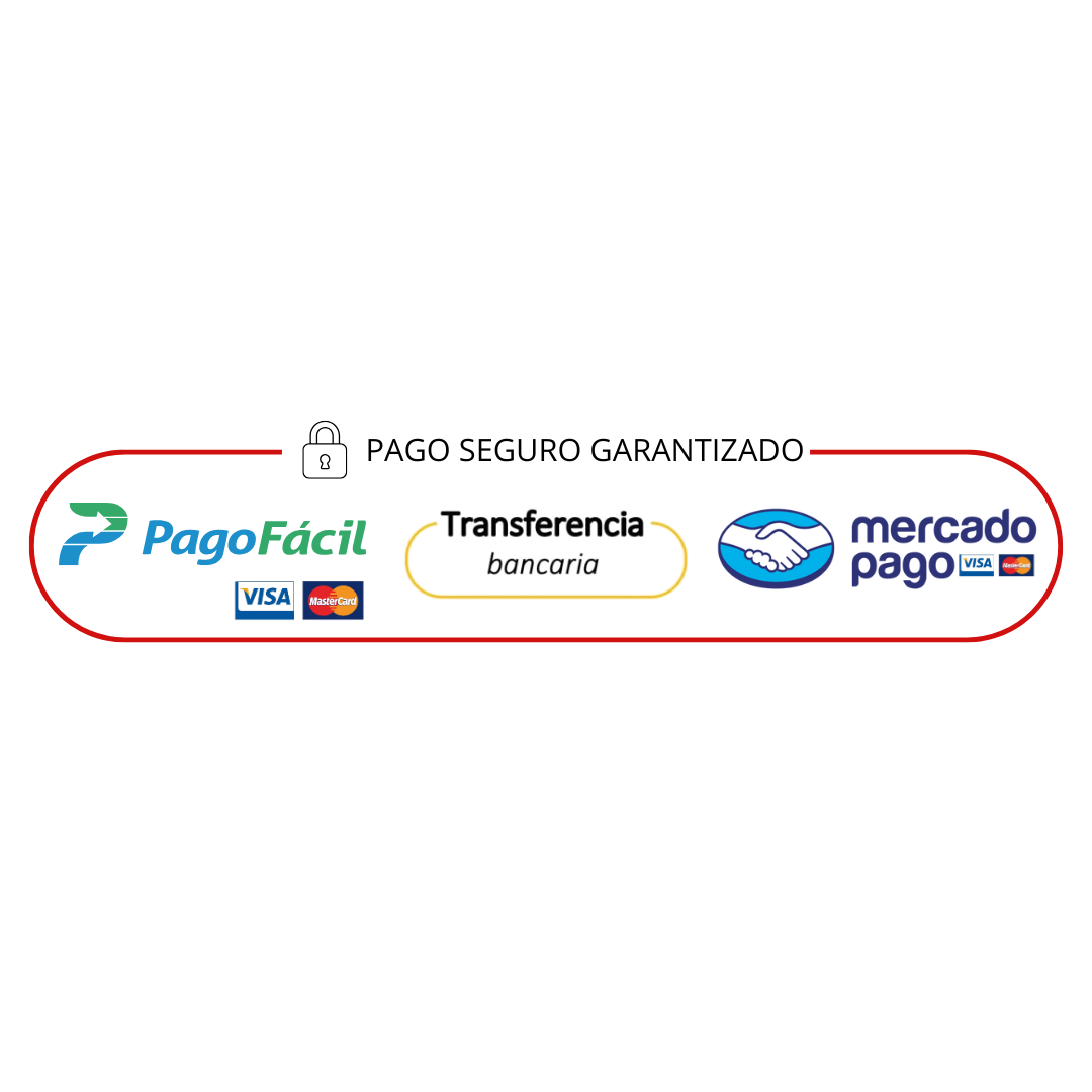 Pago Seguro 2